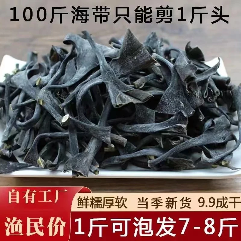 海带头正宗福建霞浦特产日晒干厚实美味营养肥厚高倍泡发
