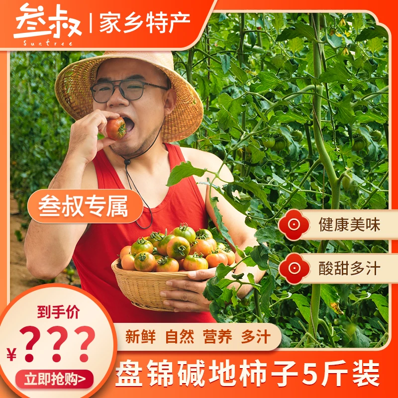 [顺丰包邮]盘锦碱地柿子新鲜水果自然熟净重5斤精品果现摘现发