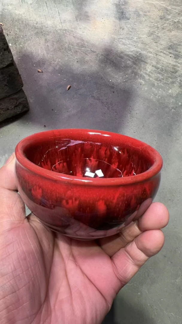 火凤凰将军杯主人杯