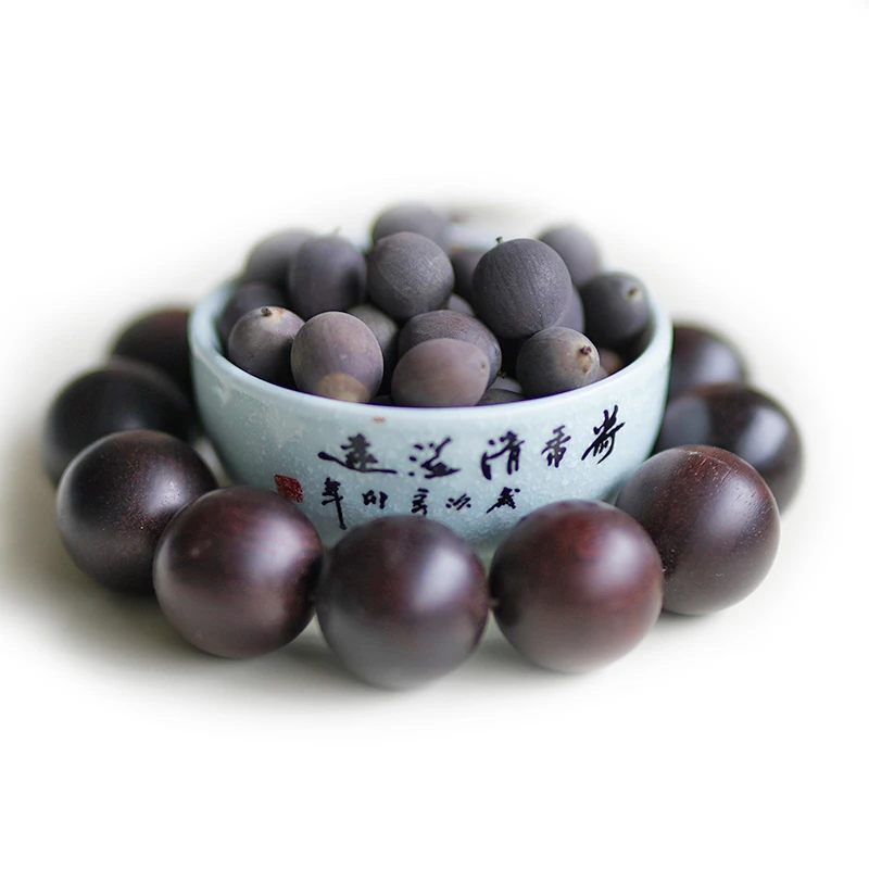 周劲松新采正品10粒家族阳窗天台盆栽能开精品碗莲荷花种籽子