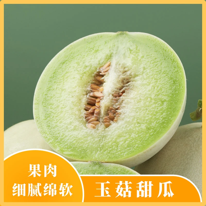 【阿波专属】山东头茬玉菇甜瓜4.5-5斤/8-8.5斤（2-3个瓜）坏果包赔