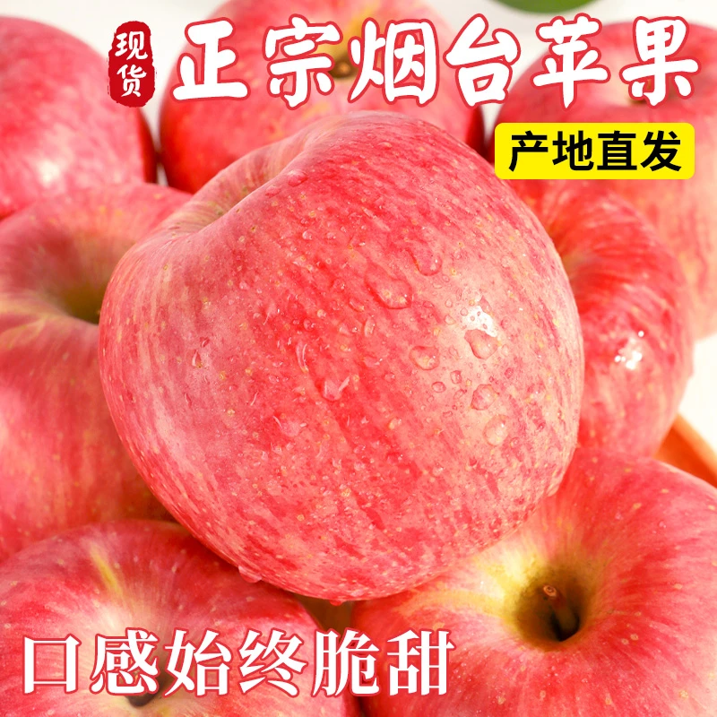烟台高山甜脆栖霞红富士山地薄皮脆甜多汁苹果烟台苹果水果酥脆