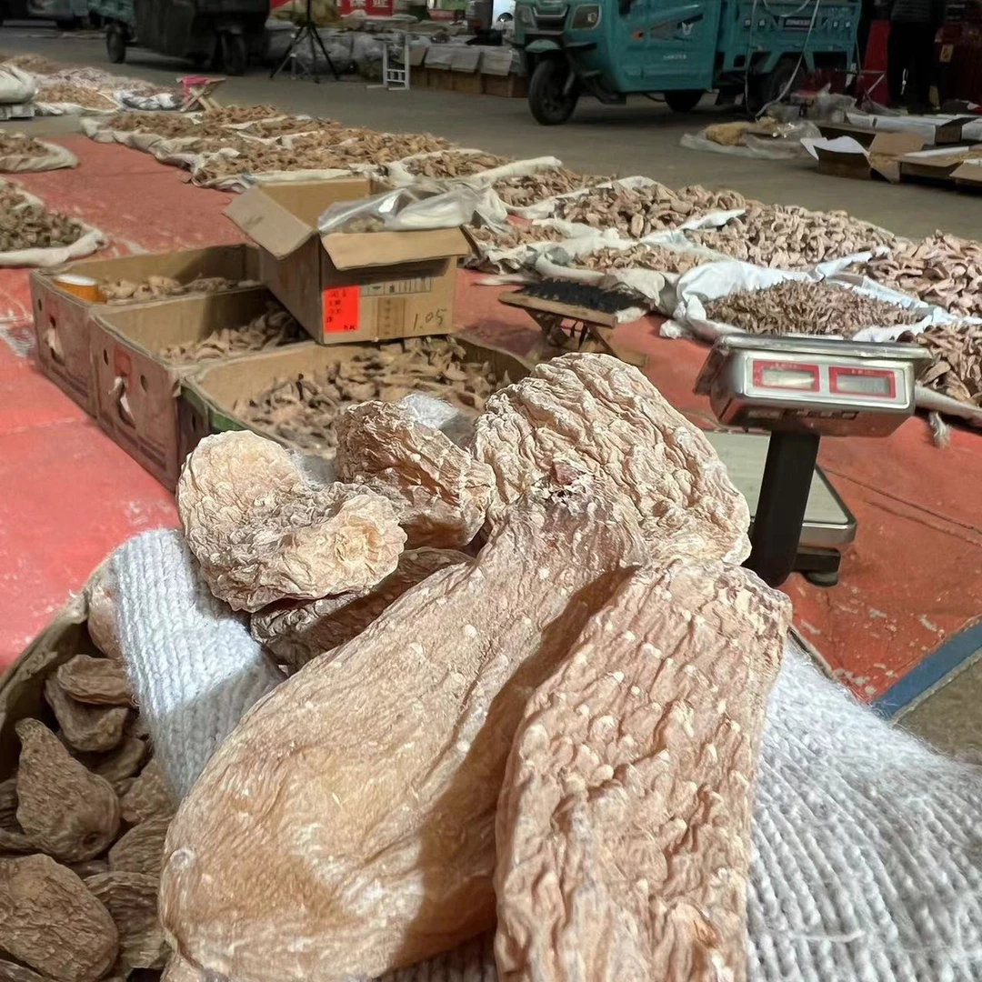 （宇哥严选）长白山天麻