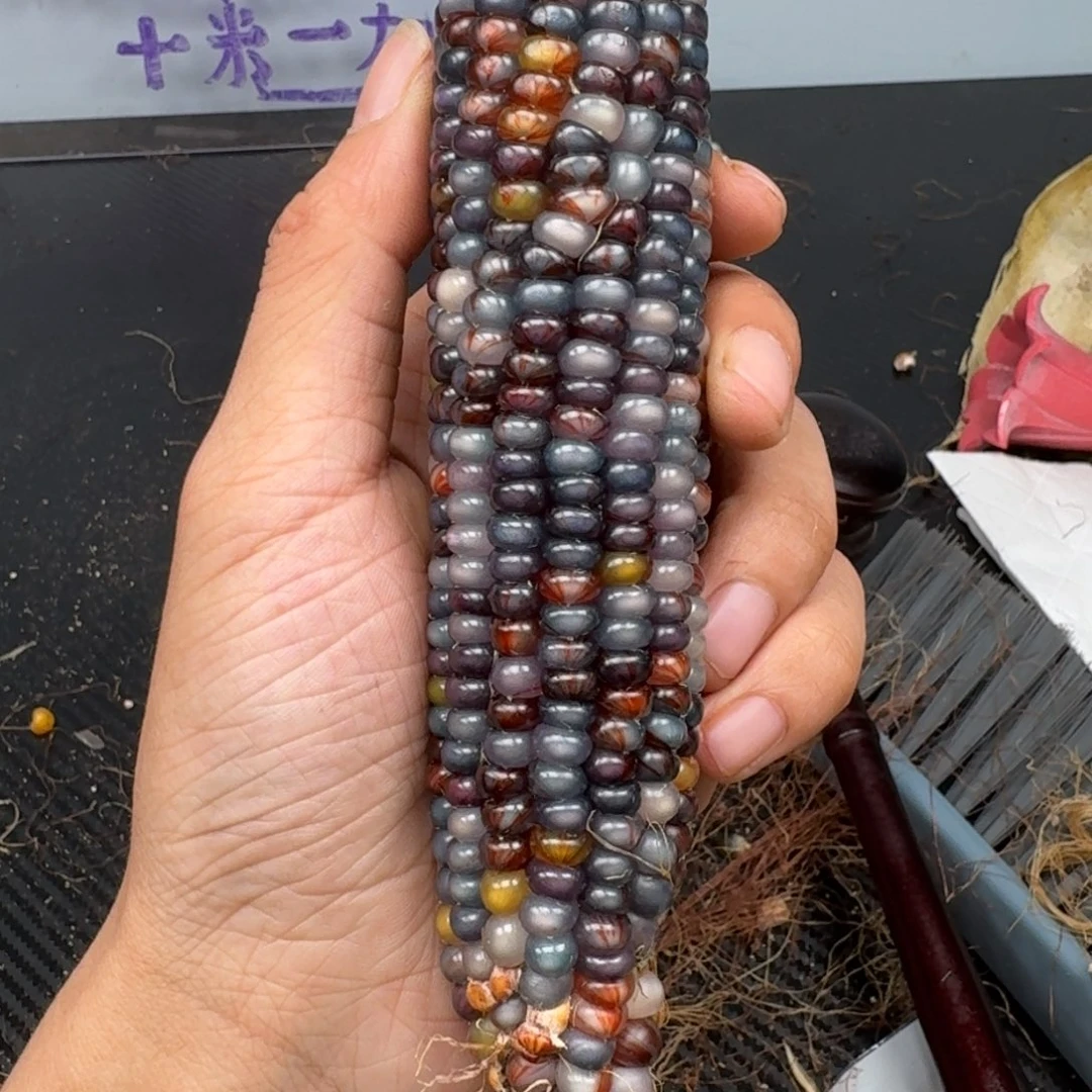 柏香籽/百香籽吊坠一***白