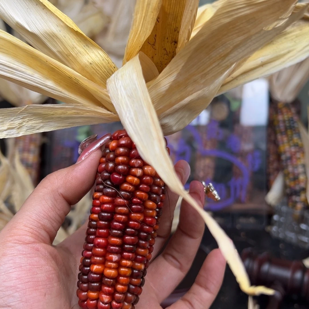 柏香籽/百香籽吊坠冬**糖