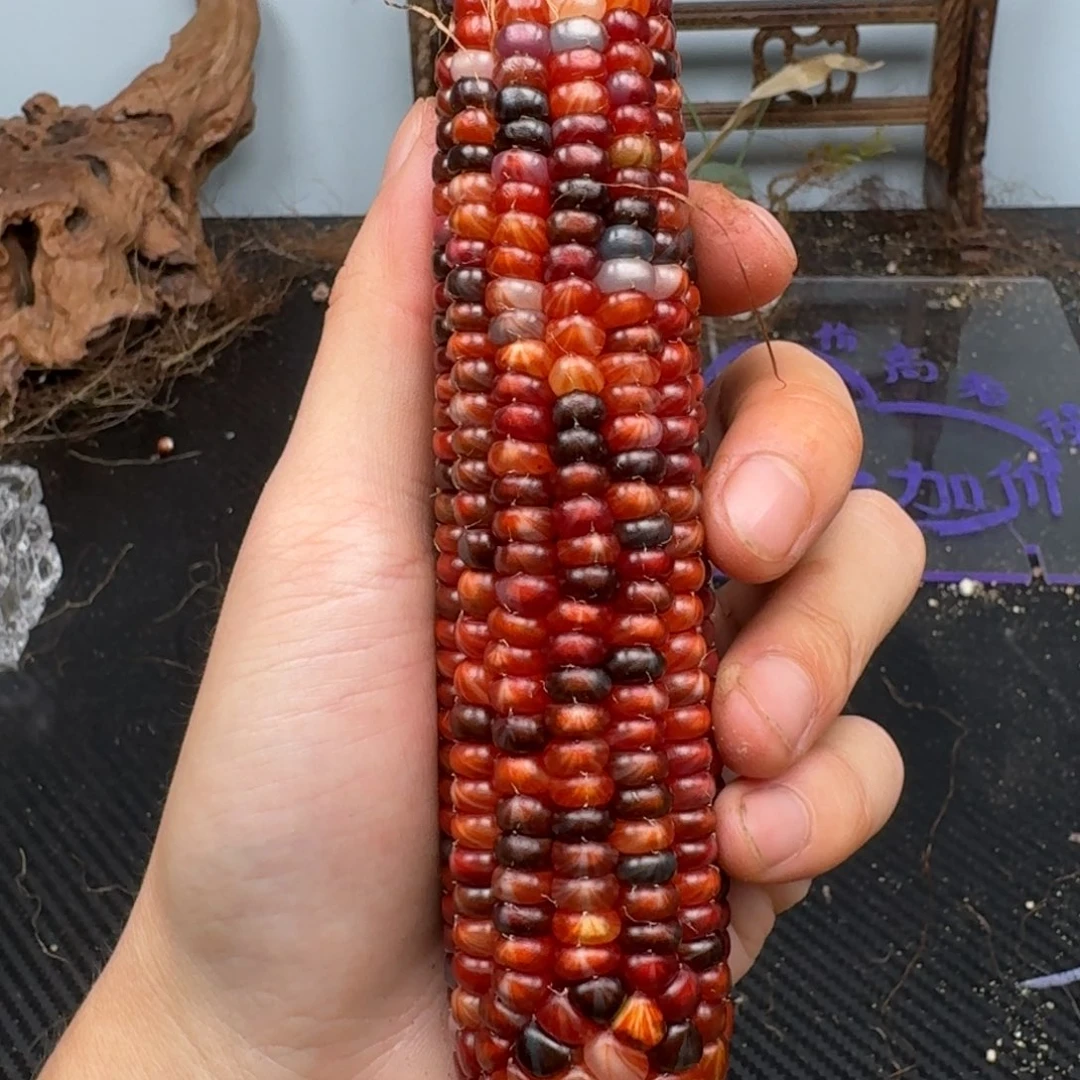 柏香籽/百香籽吊坠余****事