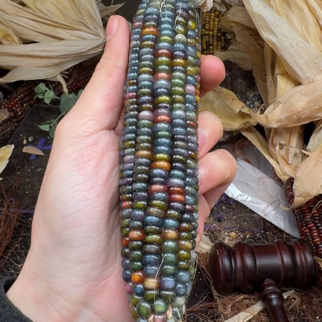 柏香籽/百香籽吊坠陆*