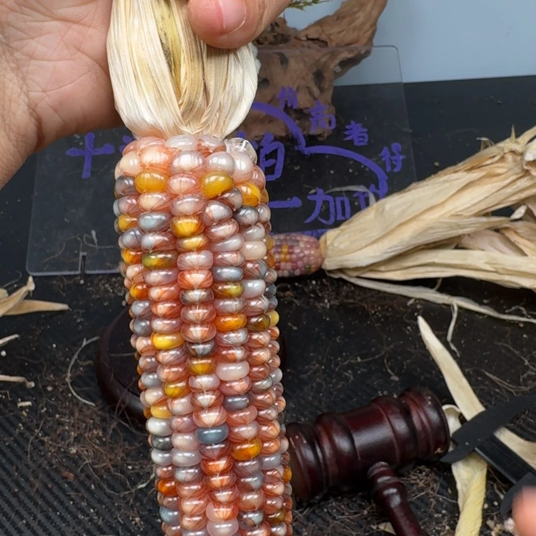 柏香籽/百香籽吊坠燕*