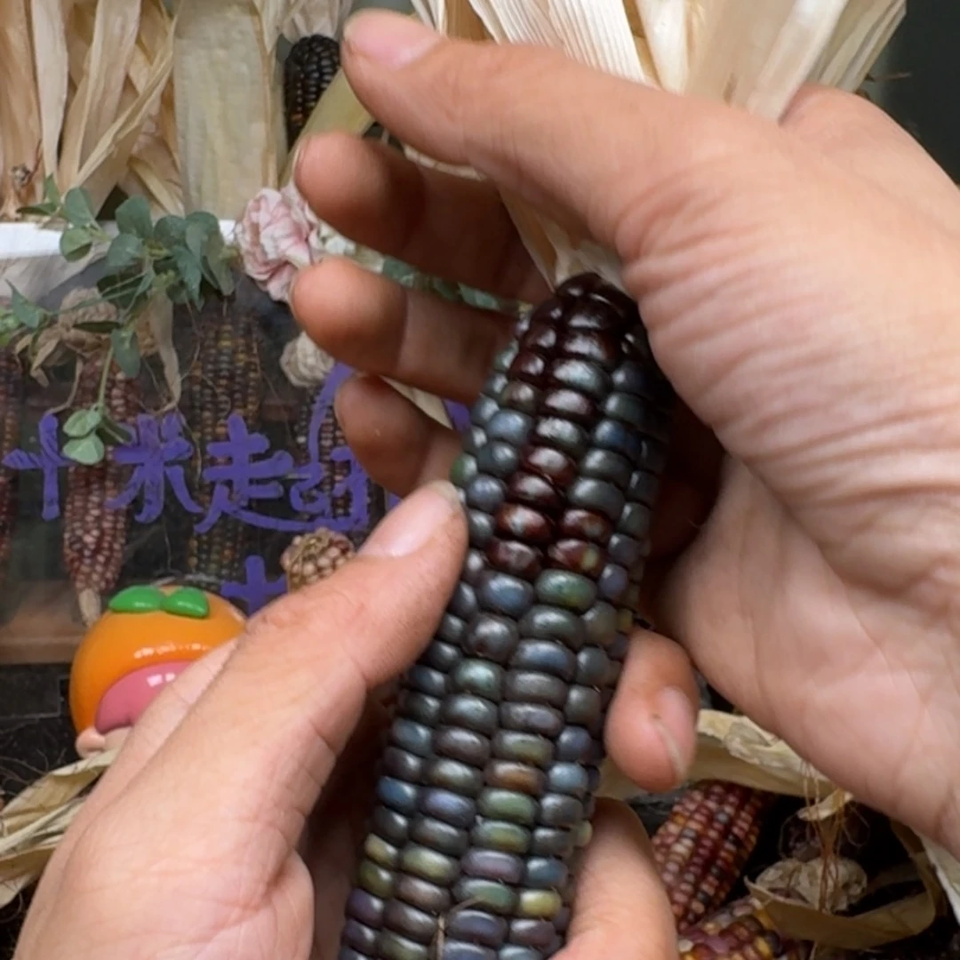 柏香籽/百香籽吊坠一***白