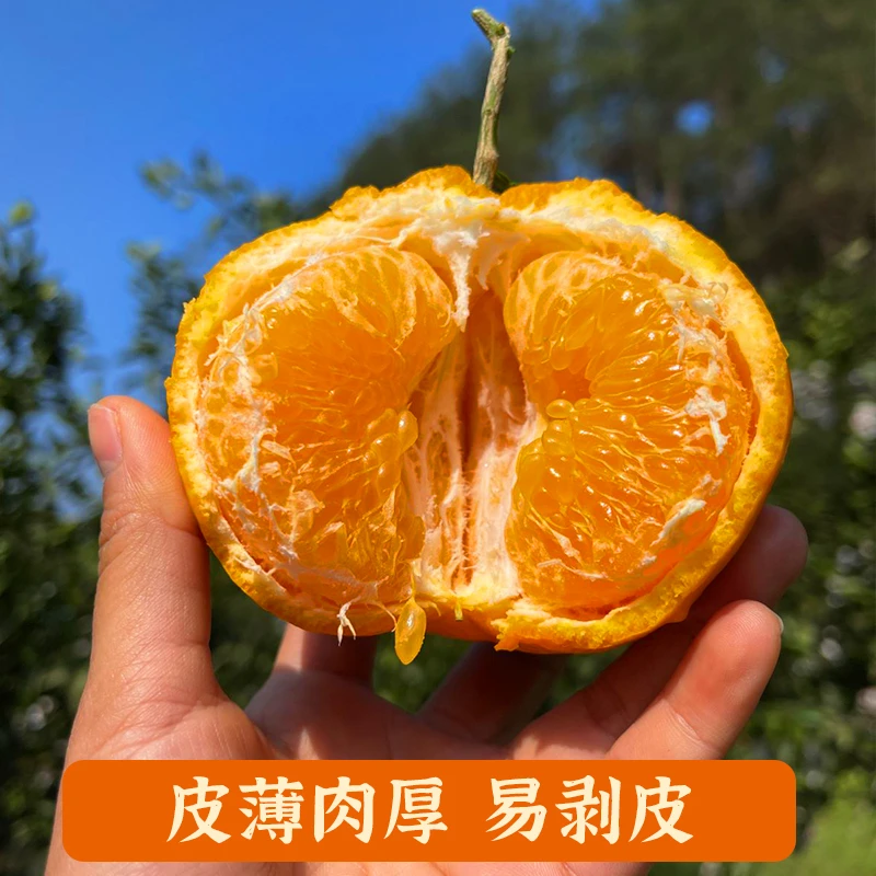 二牛正宗四川春见耙耙柑橘子粑粑柑丑橘水果桔子产地直销新鲜现摘