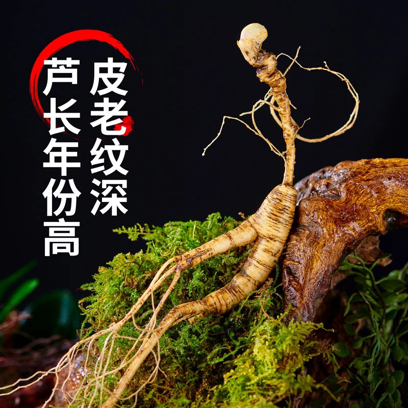 【长白山大利】山参(鲜)皮老纹深老年头