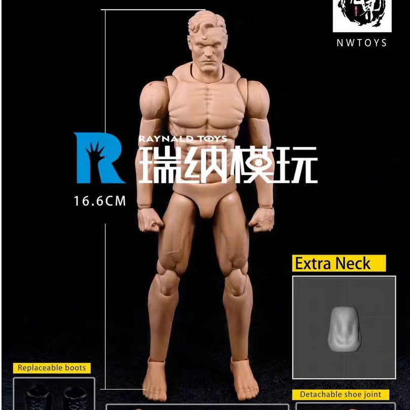 现货 NWT无界模玩 112高可动精壮男素体 绘画男体 再版 新增配件