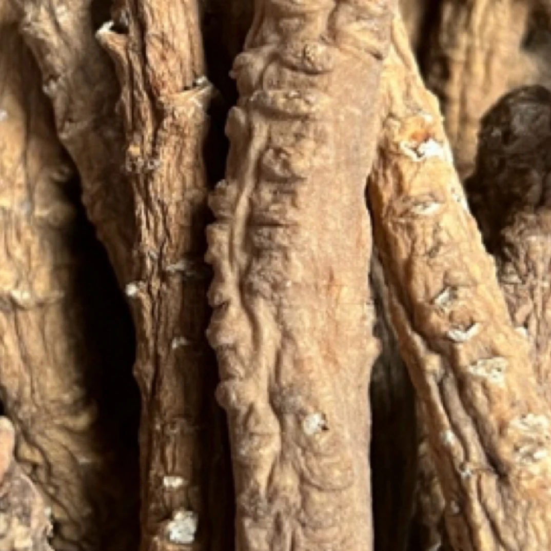 现收农副产品菇-党菇