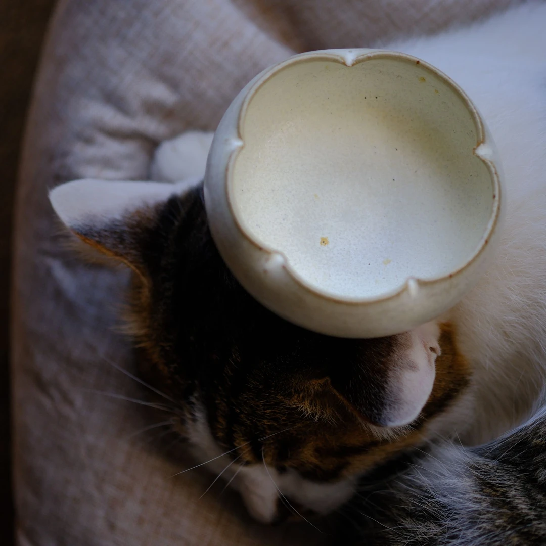 小喜宅 小花苞切足碗（口径8cm，高5cm）