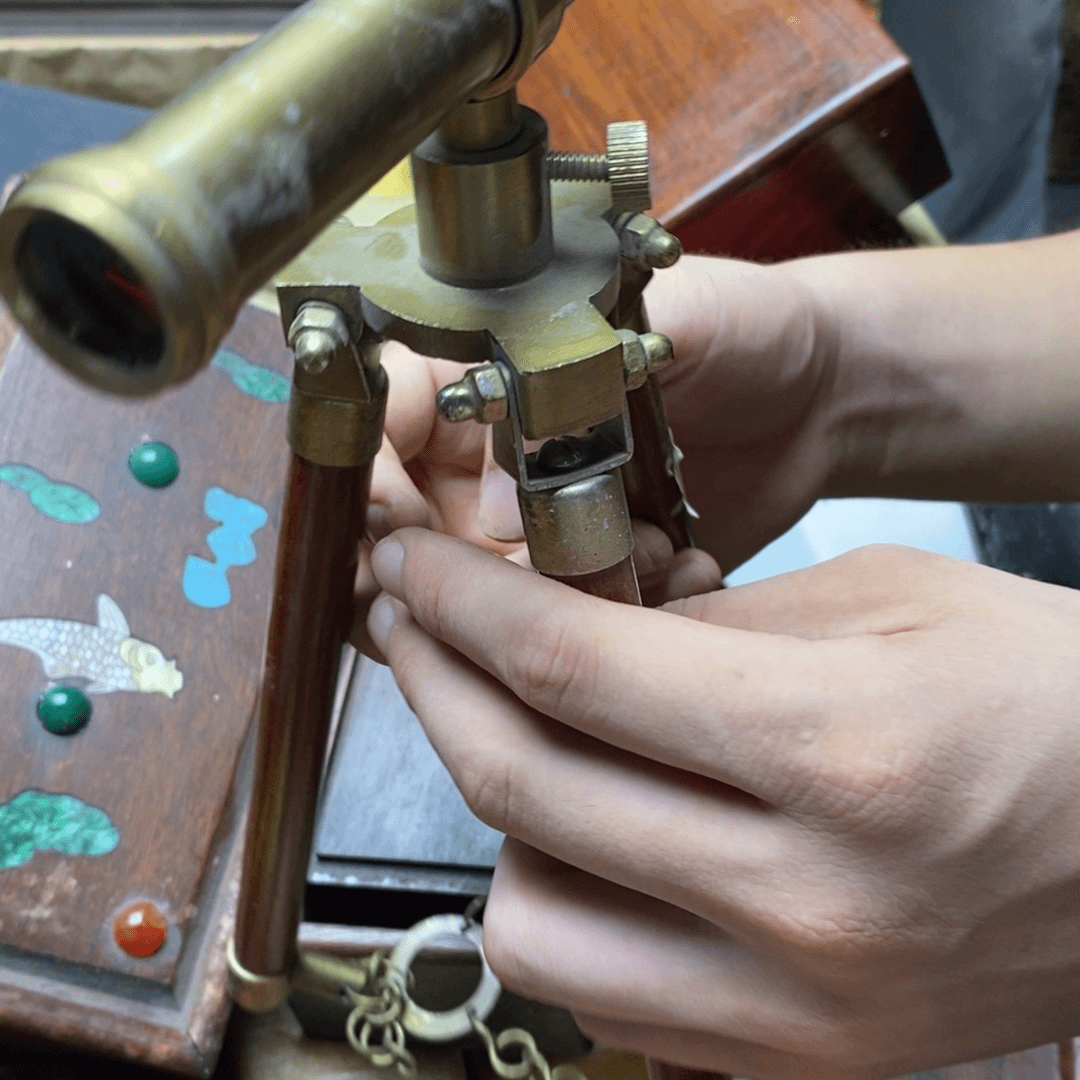 核桃木/黑胡桃（胡桃木）