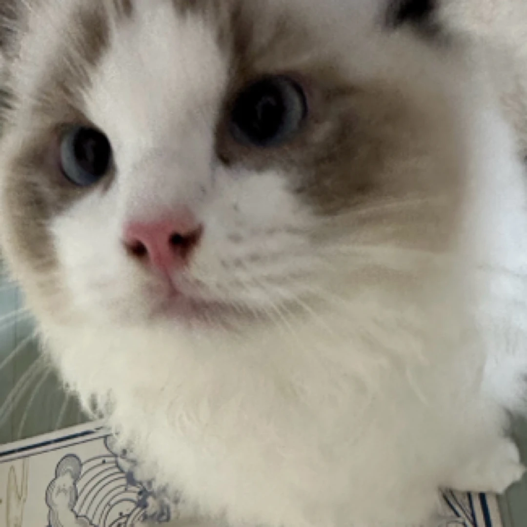 主食冻干大集合宠物全价生骨肉全阶