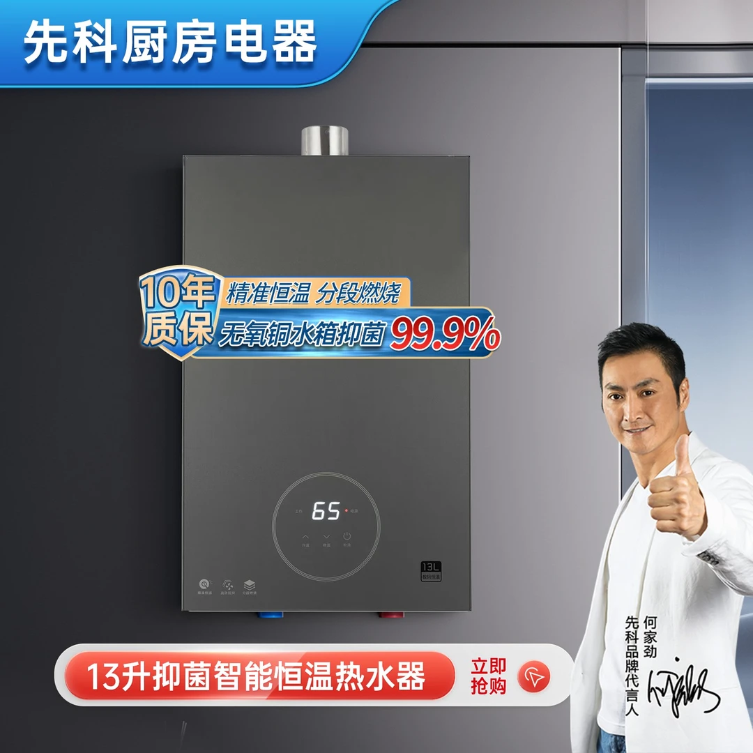 热水器燃气两用恒温壁挂炉强排式即热采暖双调冷凝