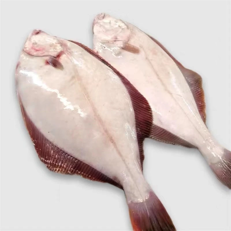 青岛野生新鲜石匠鱼4斤 偏口鱼 比目鱼鲽鱼 石甲子鱼  顺丰冷链