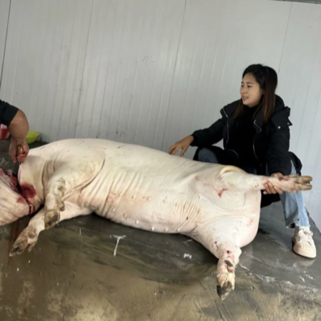 农村土猪肉【现场称重】熟食喂养土猪肉一单一称
