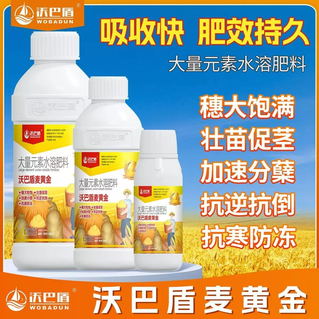 沃巴盾麦黄金抗寒防冻抗旱壮苗促茎抗逆抗倒籽粒饱满叶面肥水溶肥