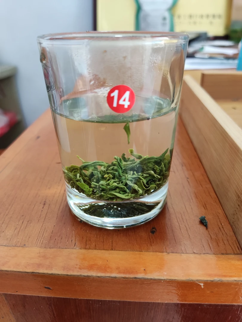 14号2024新茶五峰珍眉湖北宜昌三峡绿茶炒青茶叶500g