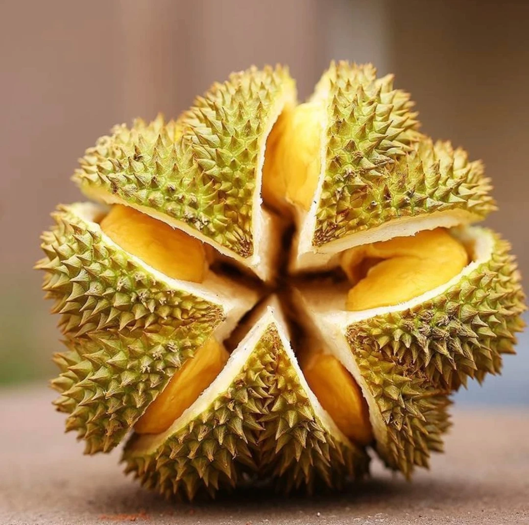 【1号链接一物一拍】越南干尧榴莲A果7分熟新鲜带壳整果现称现发