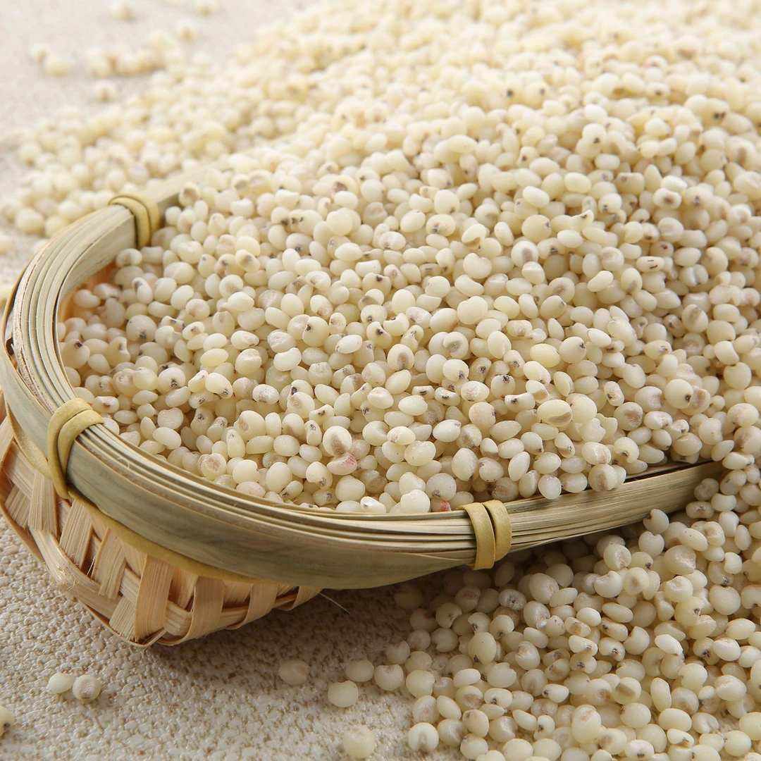 东北朝阳有机高粱米