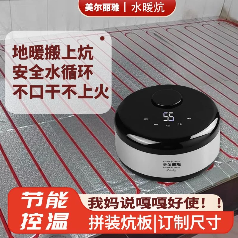 水暖炕智能恒温家用冬季调温电热水地暖垫水循环水暖毯