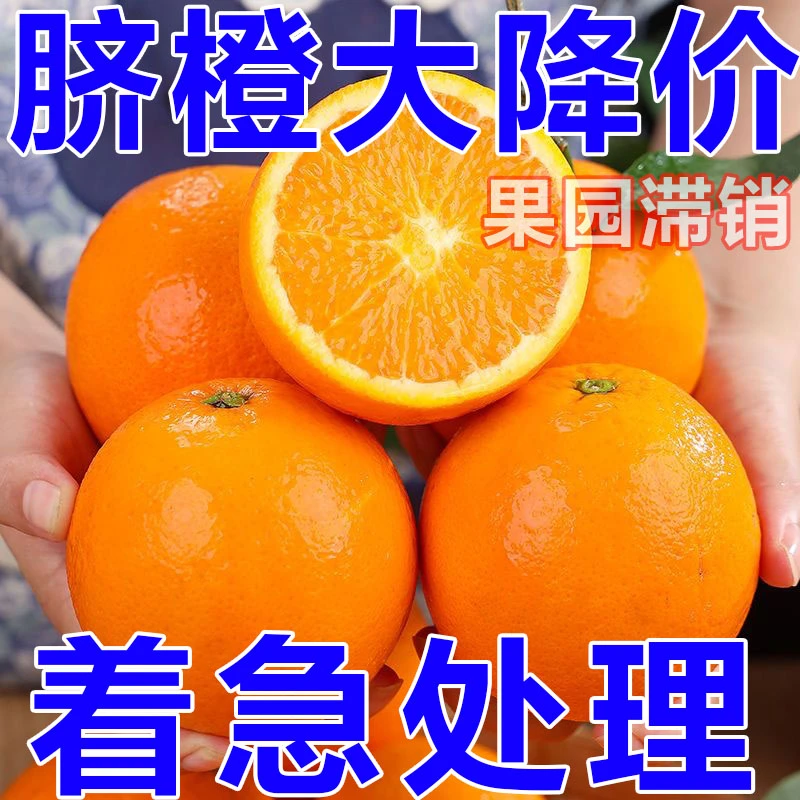 正宗脐橙新鲜采摘皮薄橙子爆甜多汁充足橙味自然原产地酸甜细腻