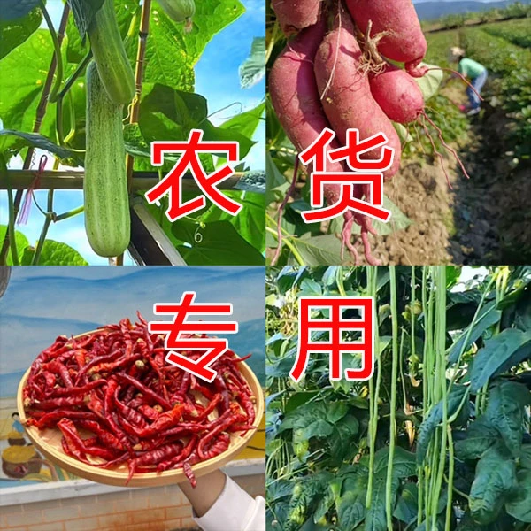 井冈山优选土特产农村农产品手工制作