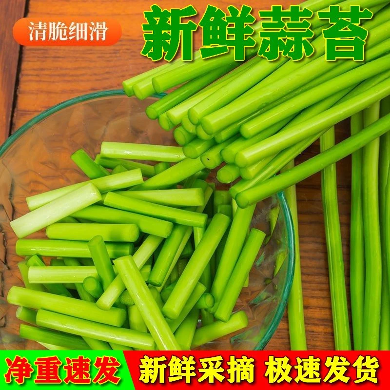 顺丰包邮江苏东台新鲜蒜薹3斤4斤