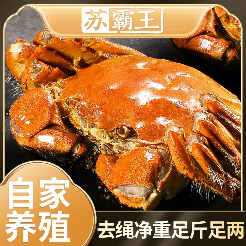 【活蟹】公母蟹公3.2-3.5母2.2-2.5两4对+送1对