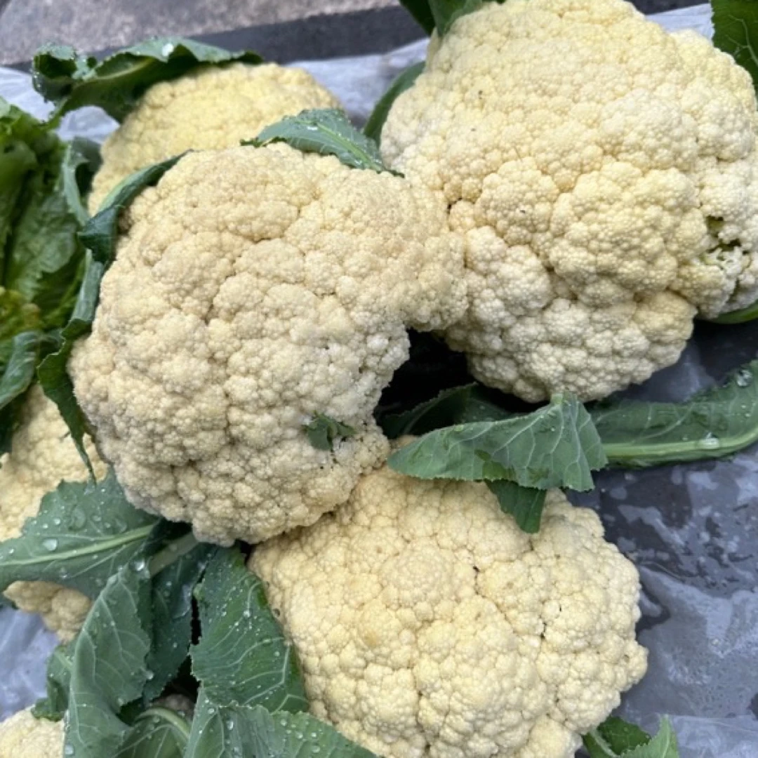 农村奶奶自己种的花菜