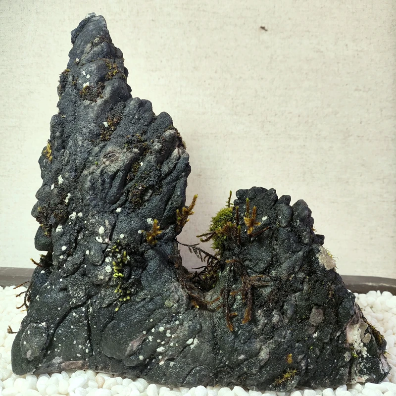 广西天然龟纹石假山石石头摆件山水石山水景观石造景【20-100】