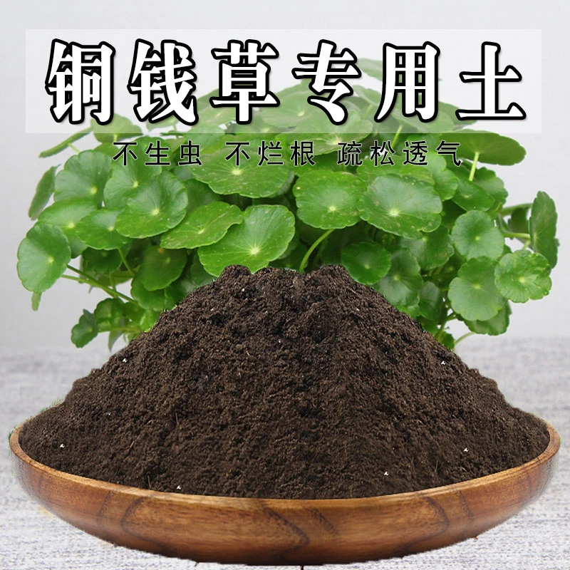 铜钱草专用土营养土盆栽养花土绿植土壤庭院用品种植营养土养花土