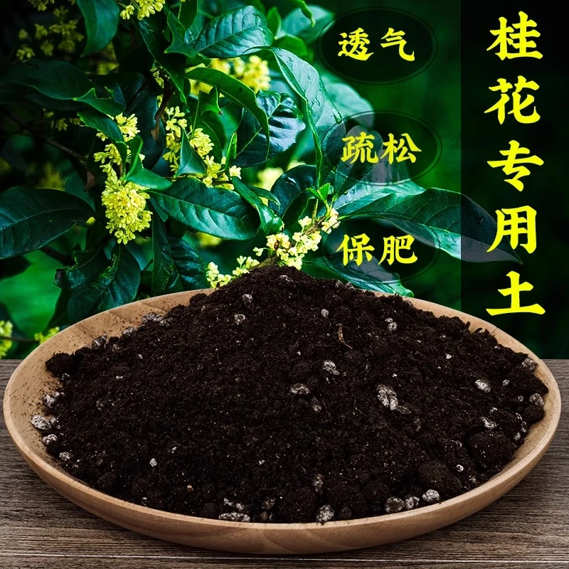 厂家直销桂花专用土营养土弱酸性土壤金月桂花盆栽种植土土壤肥料