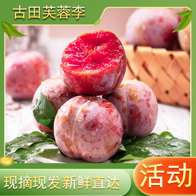 【顺丰京东】福建古田芙蓉李红心李高山李子酸甜爽口现摘4.5斤直达
