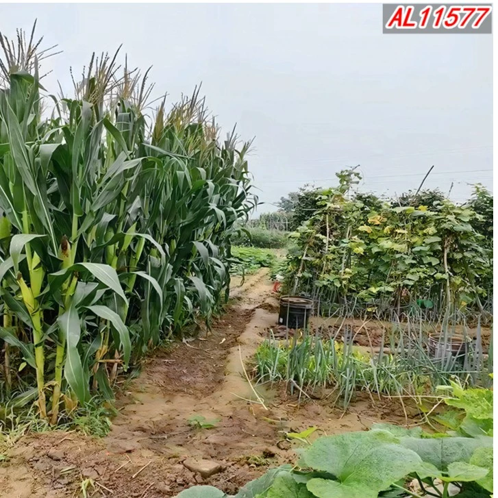 【花姐推荐】直播背景布 主播背景立体直播间装饰布置墙布挂布时尚