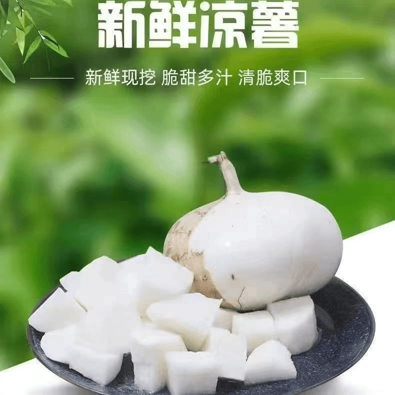 皮薄多汁贵州镇宁凉薯地萝卜新鲜现挖现发坏果包赔鲜嫩食用清脆