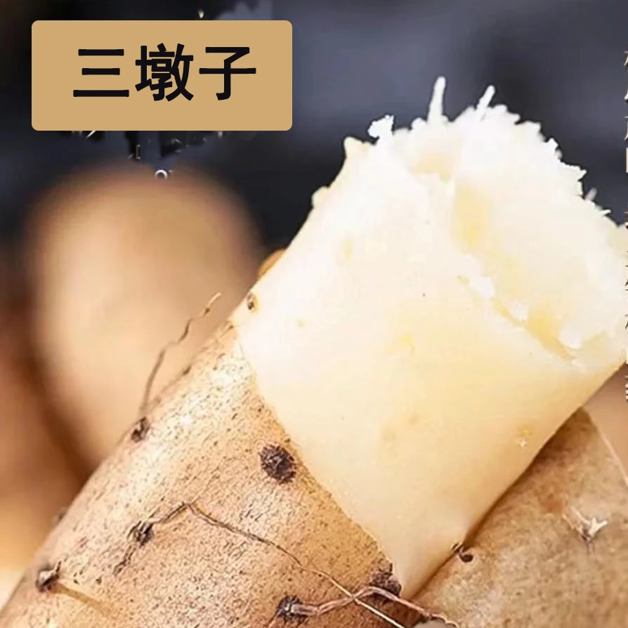 【30-50厘米长果断果混发】小白嘴山药软糯面甜农家自产五斤装