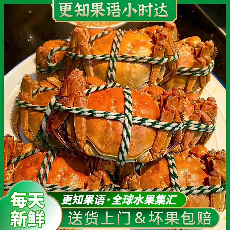 【3.3-3.5两母蟹】大闸蟹4只装