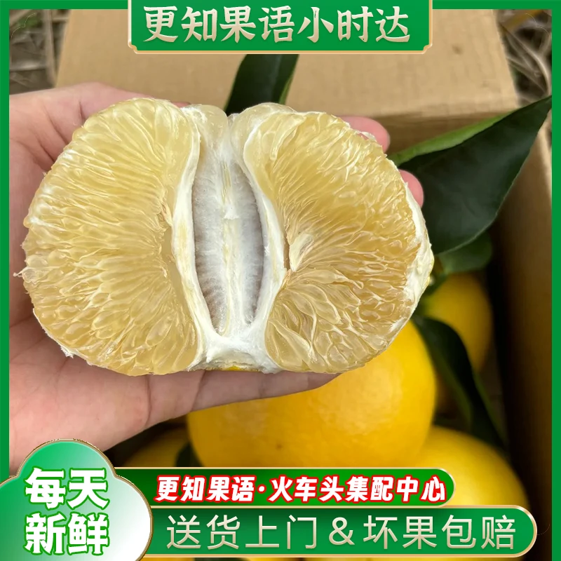 【3颗装】葡萄柚