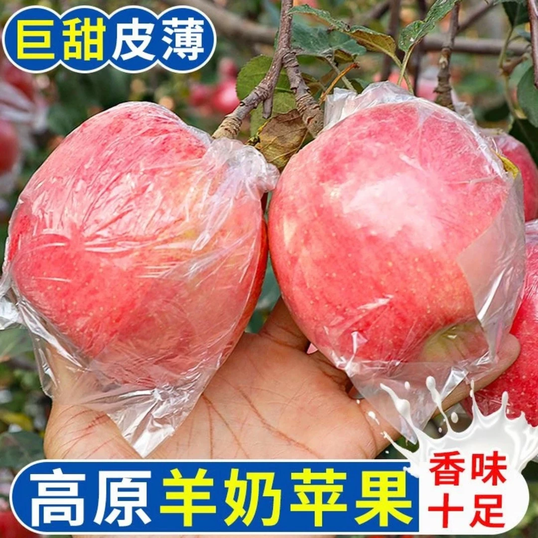 高原羊奶苹果冰糖心新鲜现摘脆甜多汁红富士苹果