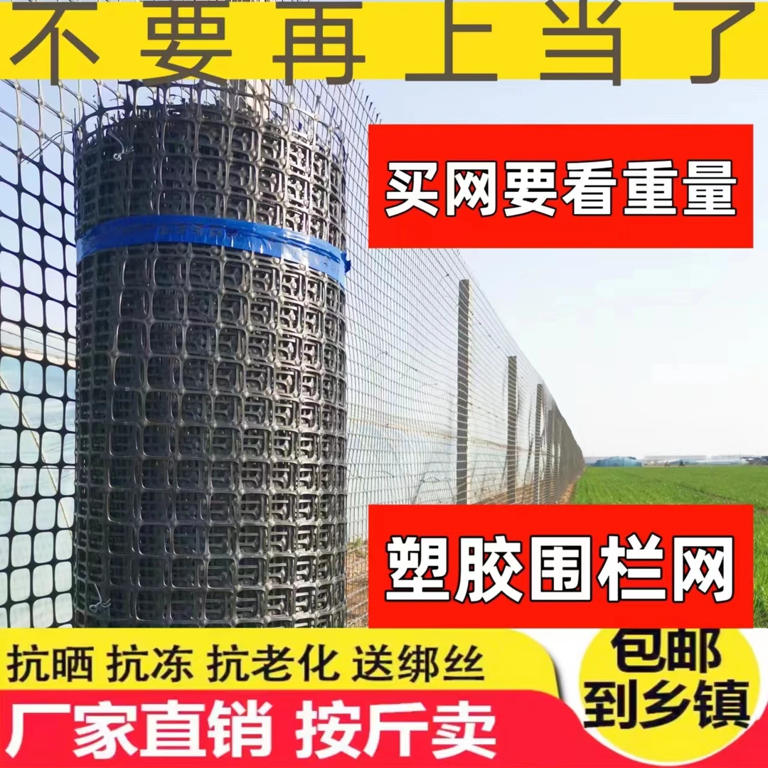 养鸡鸭鹅塑料网家禽养殖网果园菜园围栏网圈地鱼塘防护网格玉米网