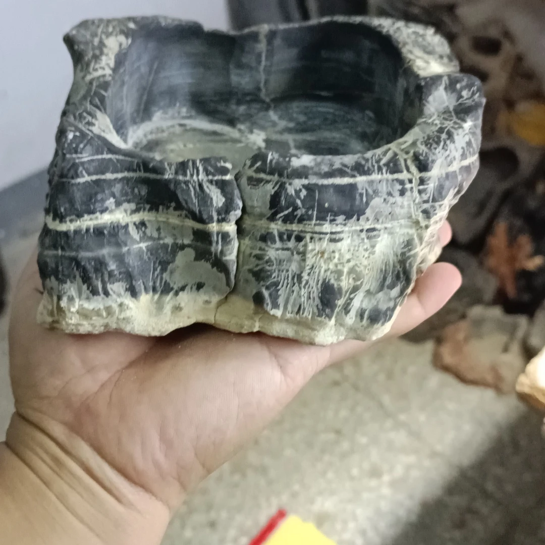 花盆小微盆新疆西藏不包邮