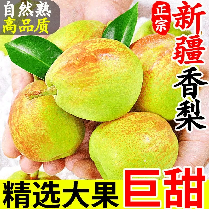 新疆直发库尔勒香梨脆甜多汁新鲜应季水果一整箱净重五斤大果梨子