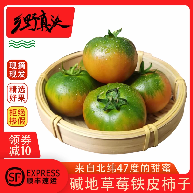 东北特产铁皮西红柿草莓柿子番茄酸甜西红品质柿当季果园现摘精选
