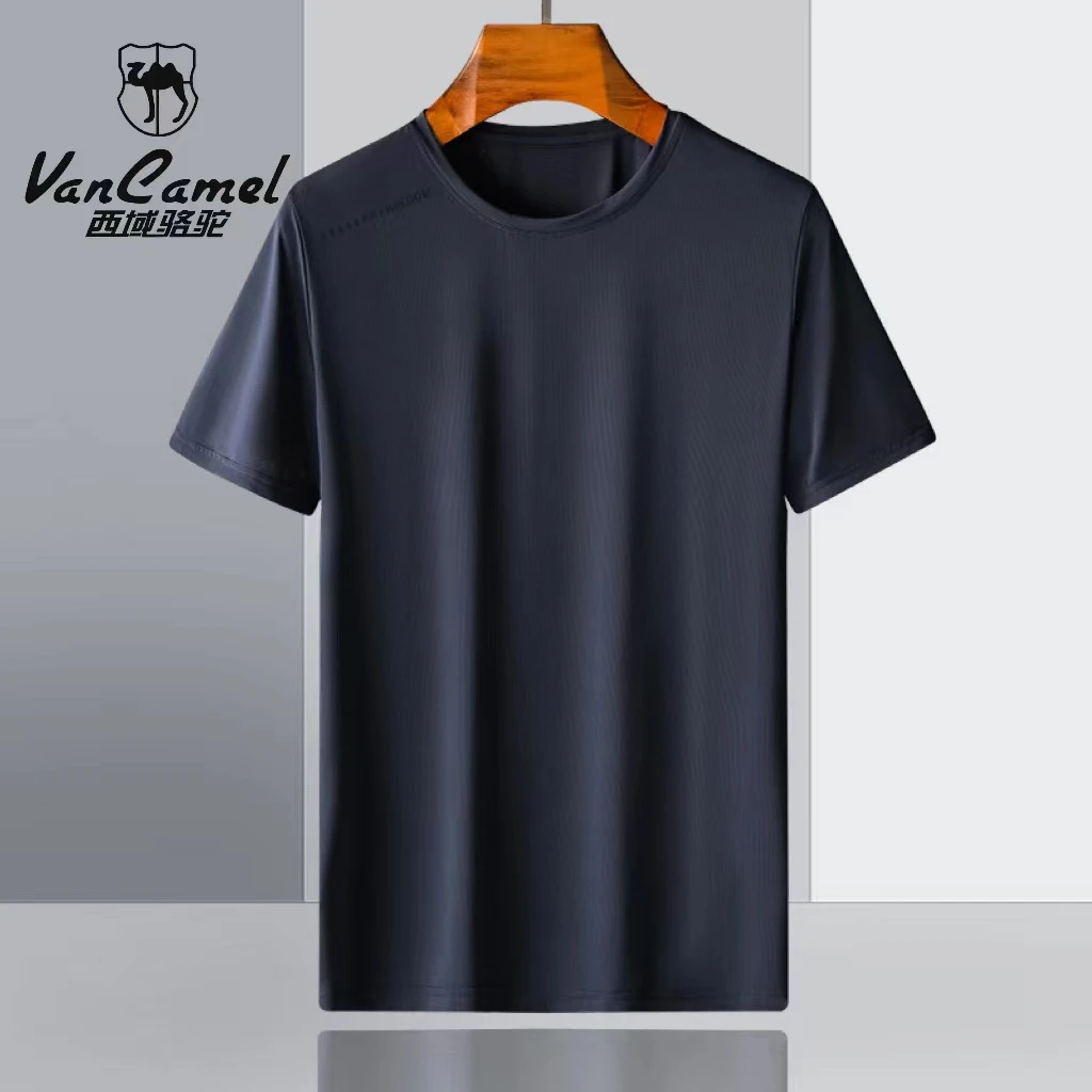 西域骆驼夏季冰丝弹力速干短袖T恤男户外运动汗衫速干宽松打底衫