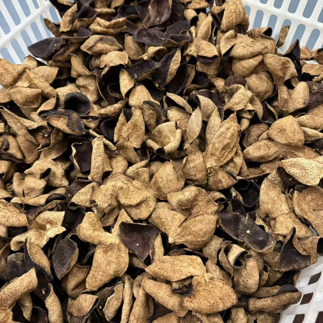 2012年 新会大红皮 东甲圈枝新会陈皮