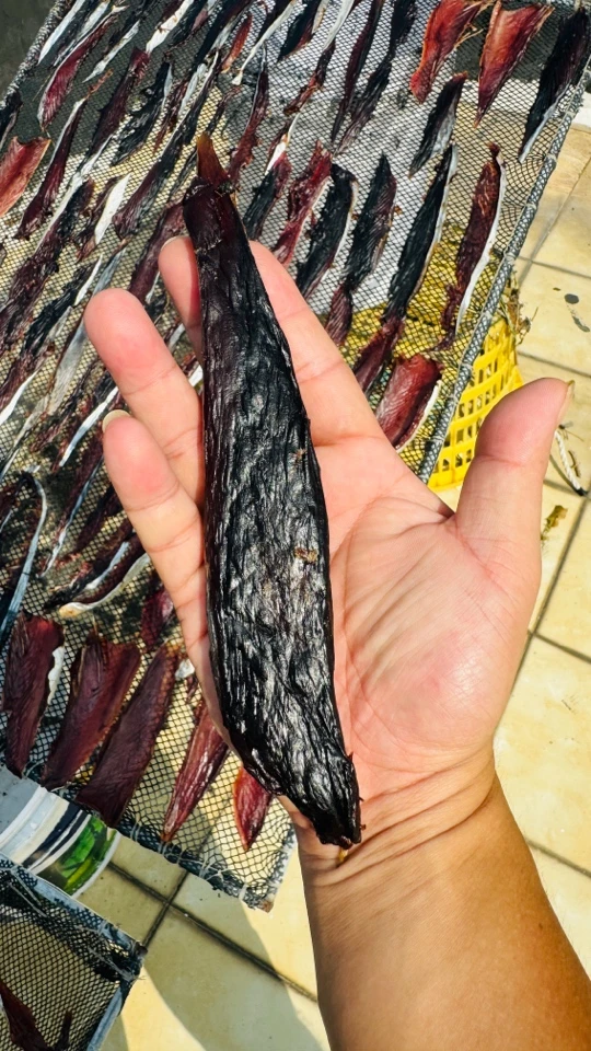 纯野生小金枪鱼干